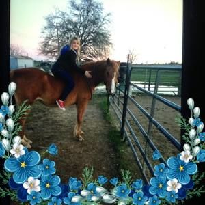 Meet your Posher, Isabella